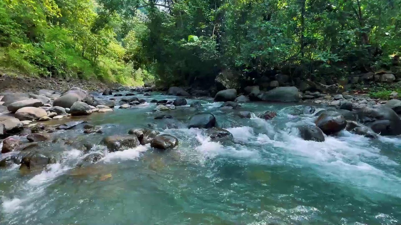 Relaxing River Sounds for Focus, Studying & A Peaceful Home 🌿 Relaxing Sleep Calming Anxiety
