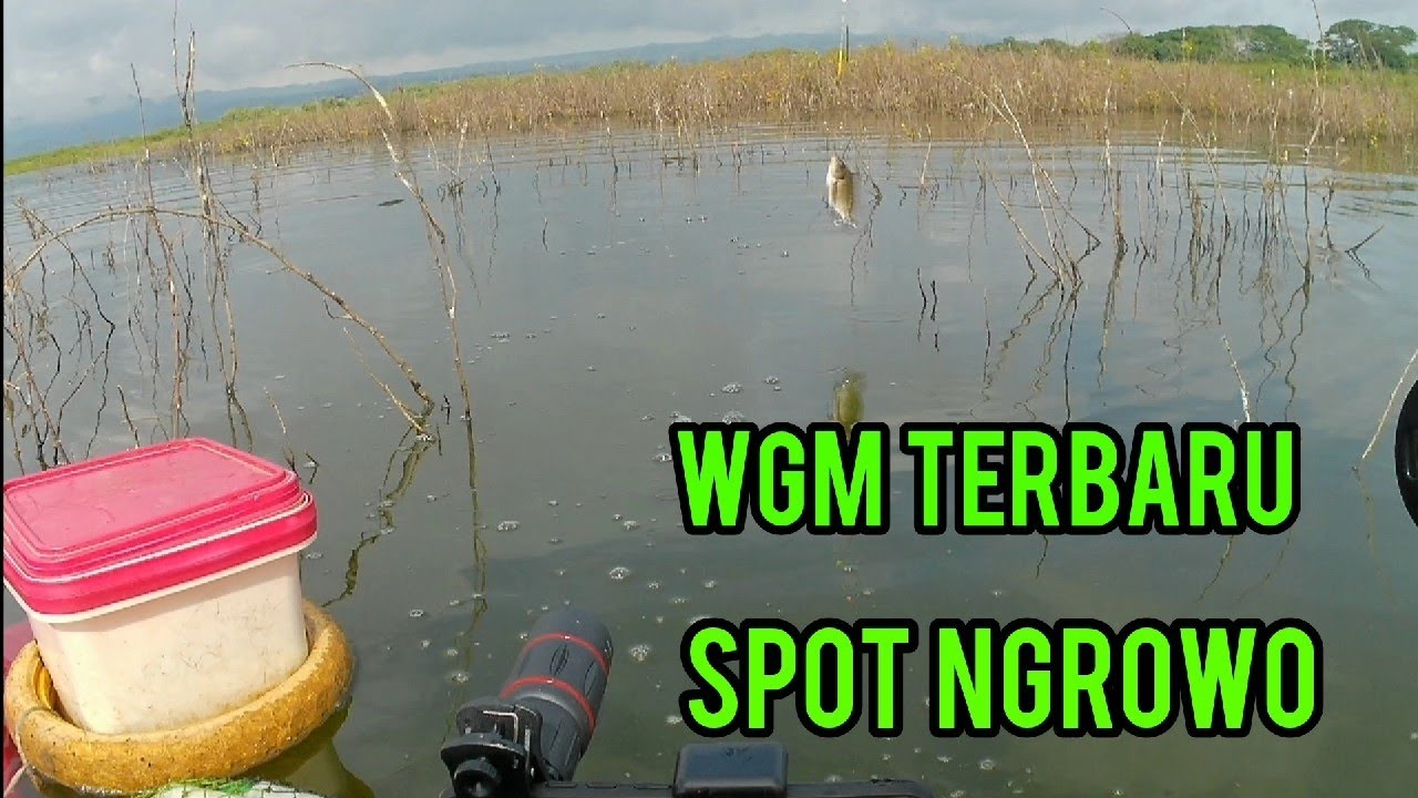 TRIP WGM TERBARU❗❗SPOT NGROWO