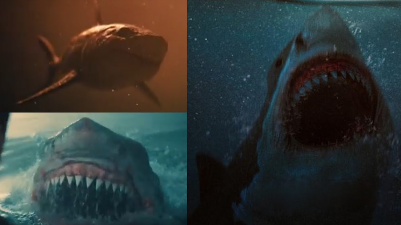 Beast of War [2025] - Shark Screen Time