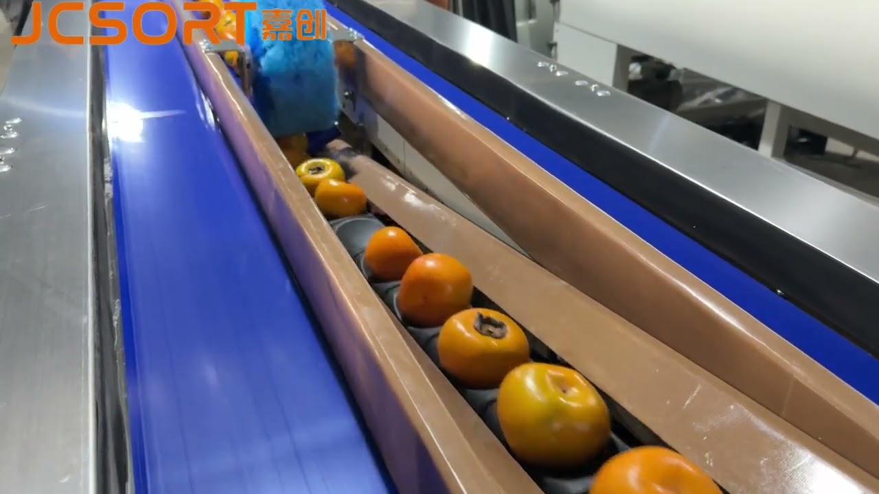 Persimmon Grading Machine, Fruit Sorting Equipment,