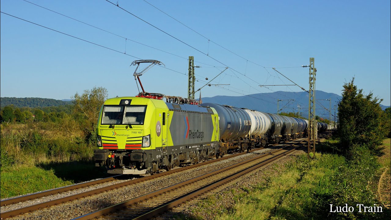 Trains dans le Rheintal - 19.09.25