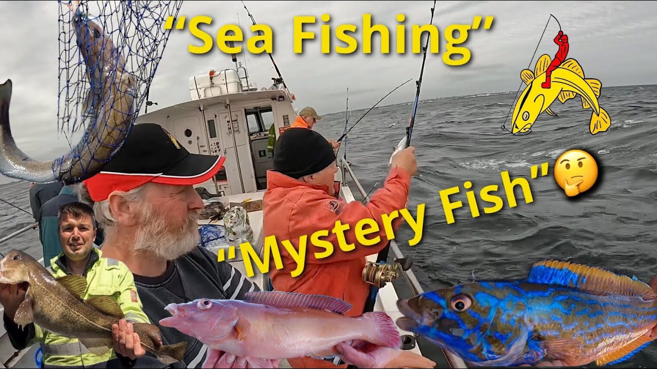 🎣 Морская рыбалка в Абердиншире: много видов и загадочная рыба? Что это? 🤔🐟🐟🐟