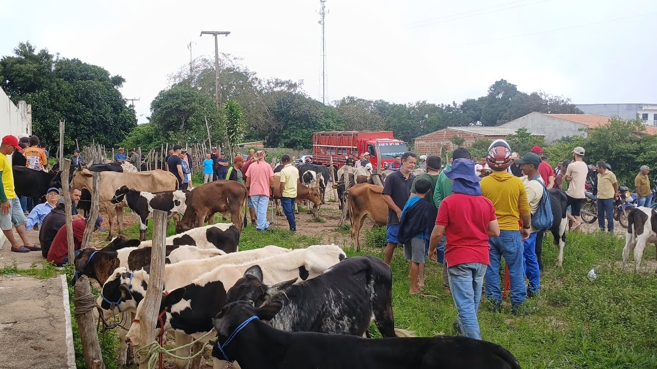 FEIRA DO GADO NA IBIAPINA CEARÁ DIA 08/03/26