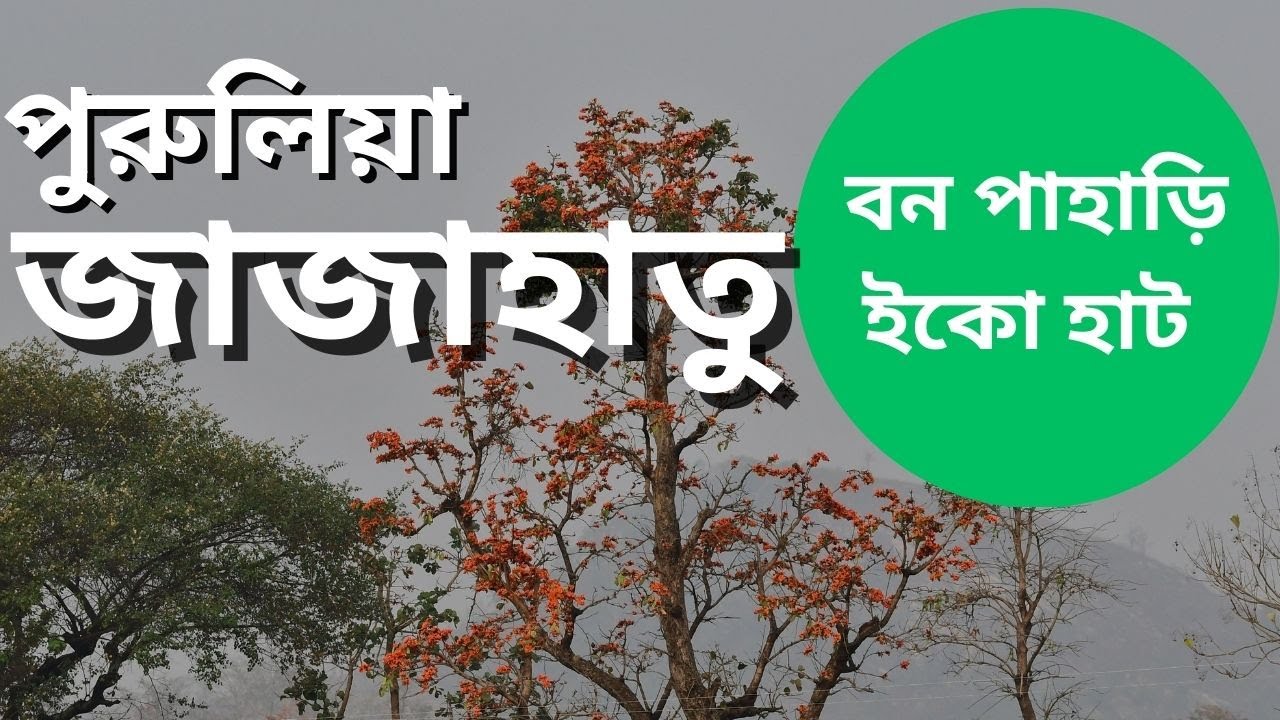 Jajahatu, Purulia  |  Ban Pahari Eco stay  |  জাজাহাতু , পুরুলিয়া  |  বন-পাহাড়ি ইকো স্টে