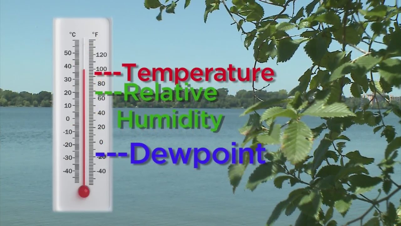 Good Question: What Is The Dew Point?