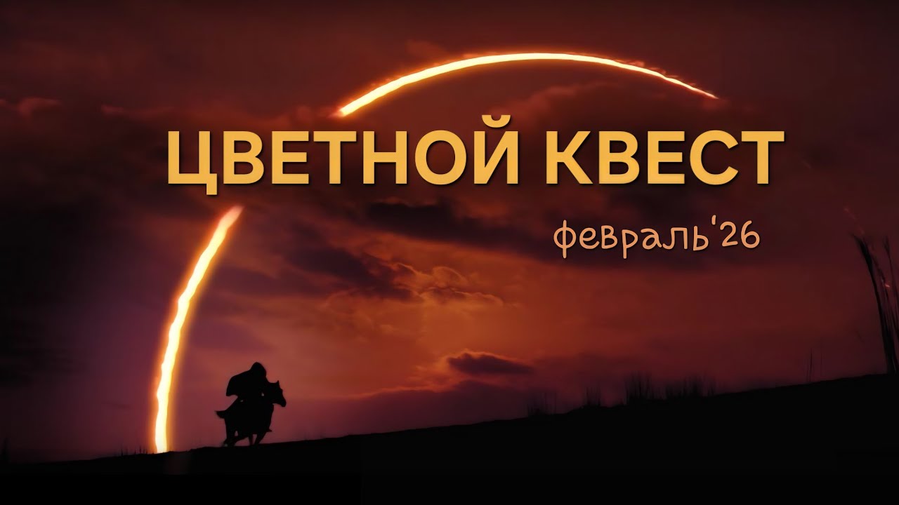 Цветной квест: итоги за февраль 2026