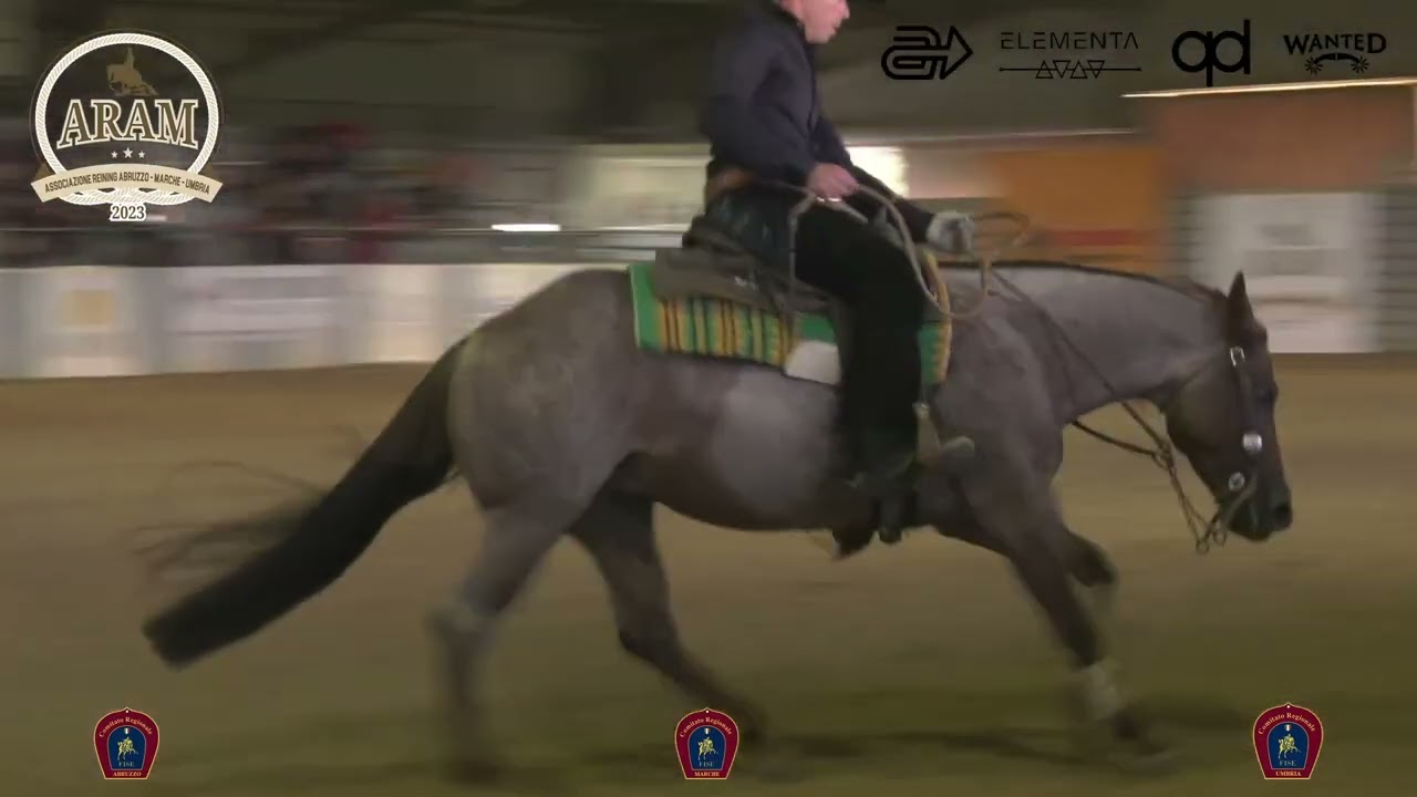 5 show ARAM 2025 - CIABATTONI ALFREDO & PP DREAM TO SAILOR score 149
