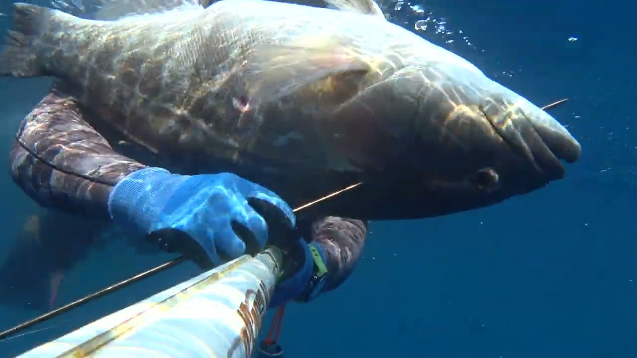 🔱 Βαθύ Ψαροντούφεκο Ιούλιος 2022 🔱 Deep Spearfishing July 2022 🔱Pescasub 🔱 Pesca Submarina
