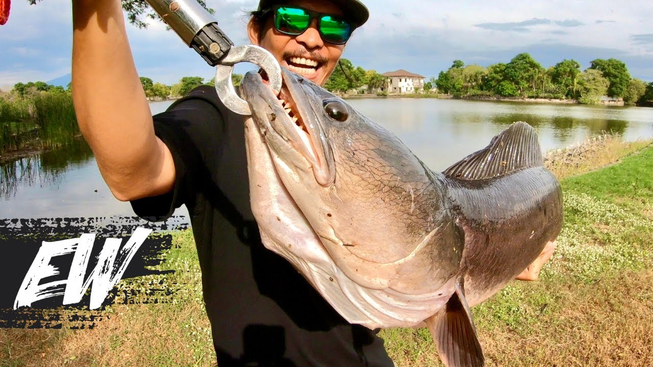 Epic Battle with MASSIVE Giant Snakehead Toman! | Y4E26