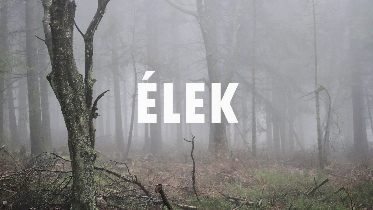 Gedeon Andr&aacute;s - &Eacute;lek [Sz&ouml;veges vide&oacute;]