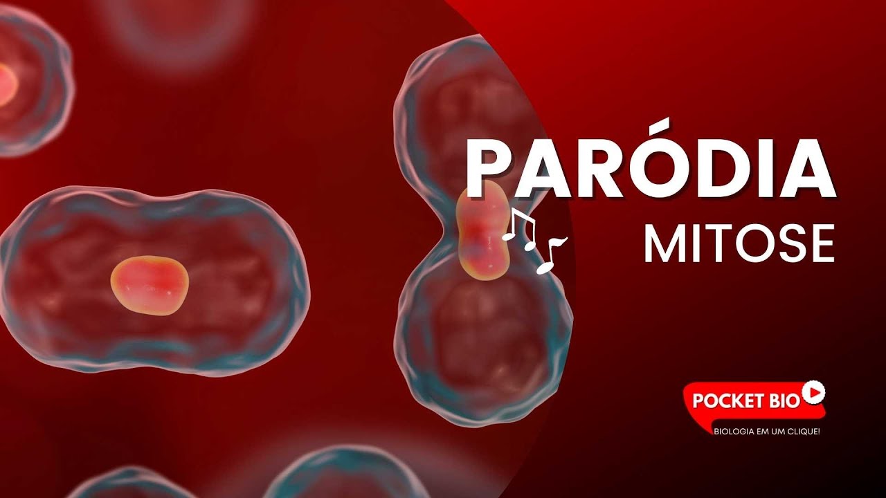 PARÓDIA — MITOSE (remake)
