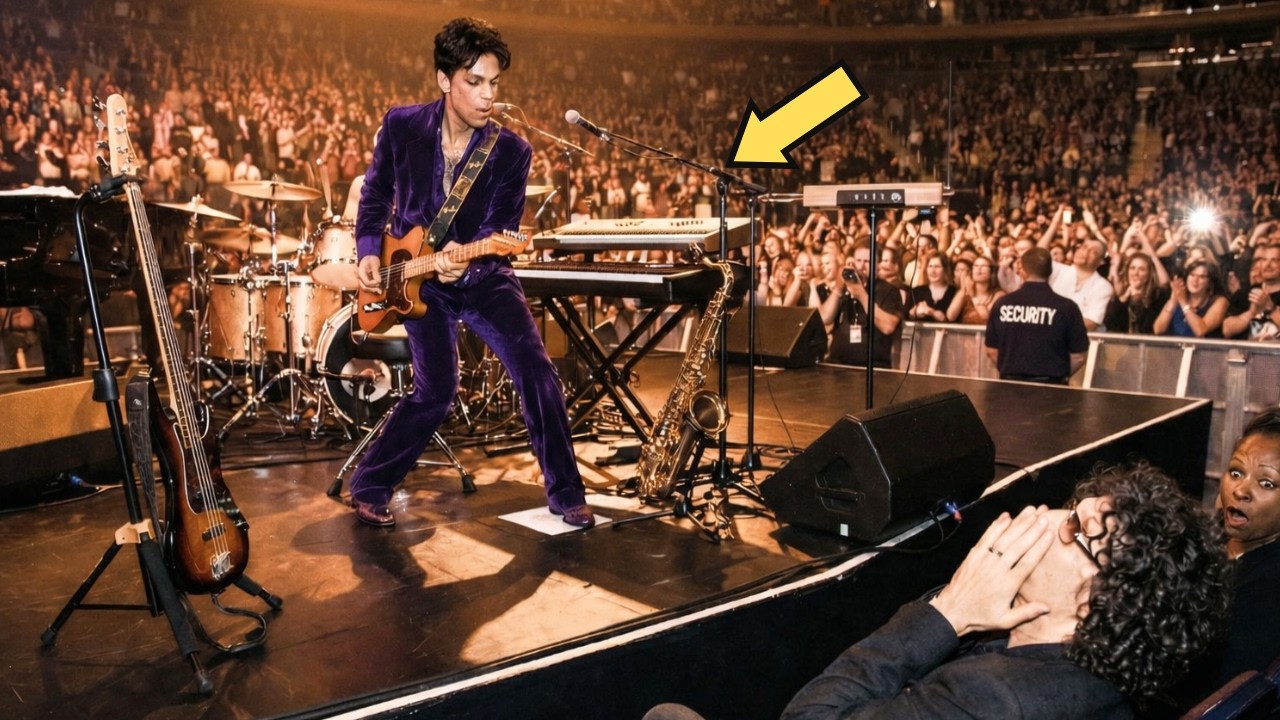 HOWARD STERN SAID PRINCE CAN’T PLAY 27 INSTRUMENTS — MSG SHOCKED 20,000