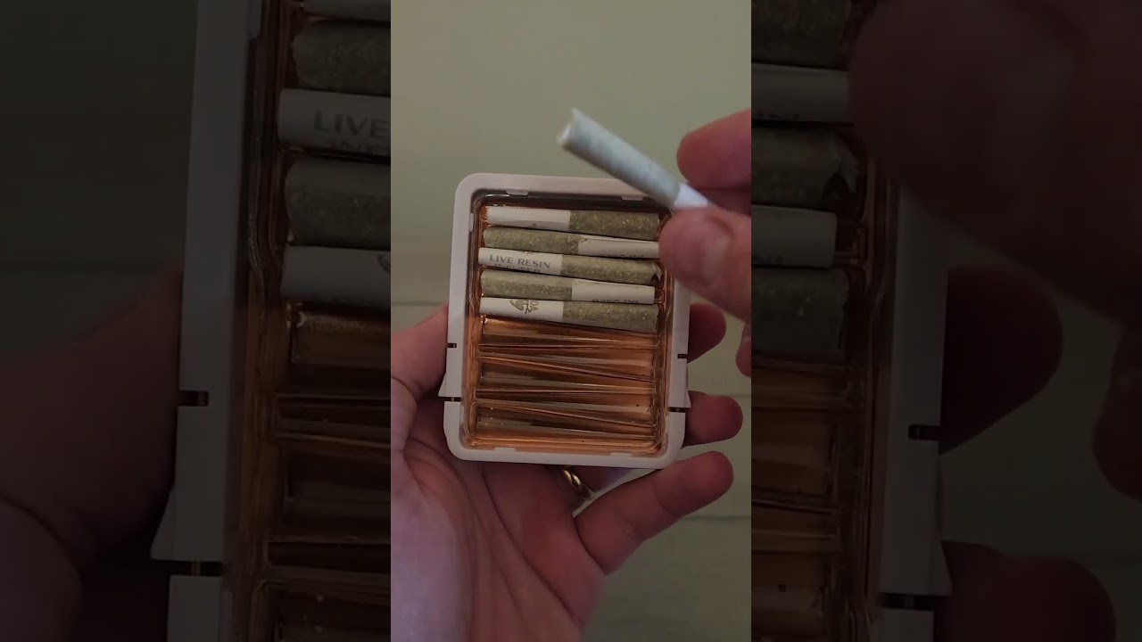 Joint Review by a Dispensary Manager #3 | Koa Live Resin Infused Prerolls #alwaysgoodcannabis