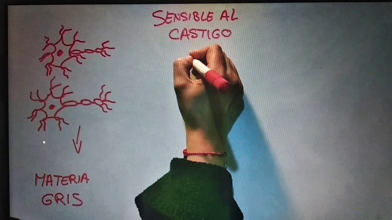 1. Diferencia cortical entre Extraversión e Introversión. Raquel Urbano.