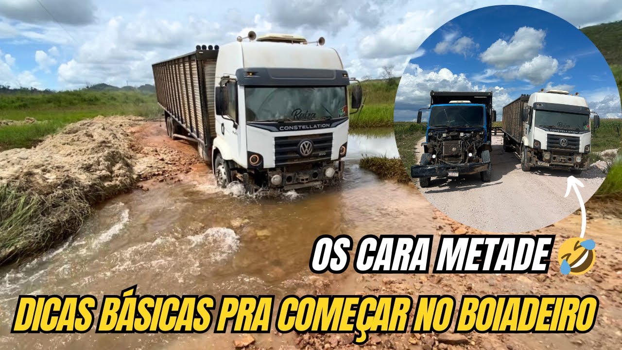 As estradas estão MELHORANDO carreguei 25 novilha parida dei DICAS pra quem quer começar