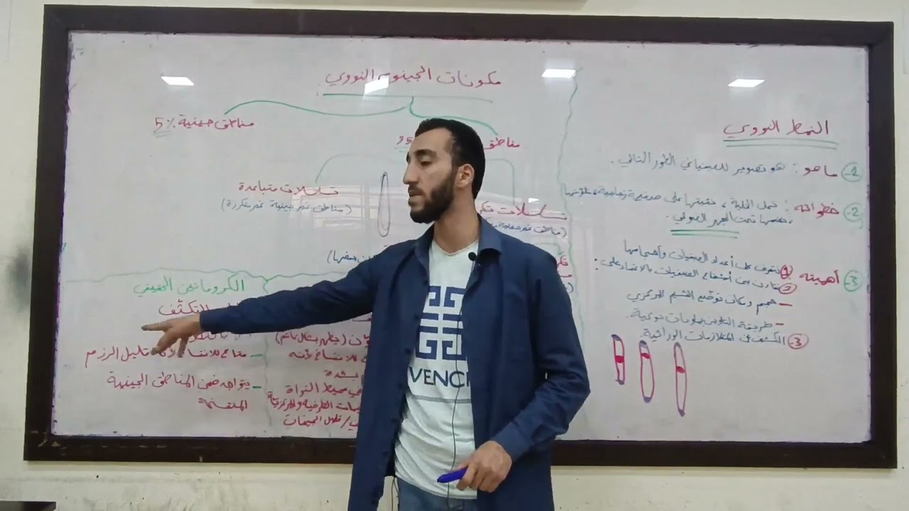 النمط النووي ، الكروماتين الغيري و الحقيقي ، مكونات الجينوم النووي