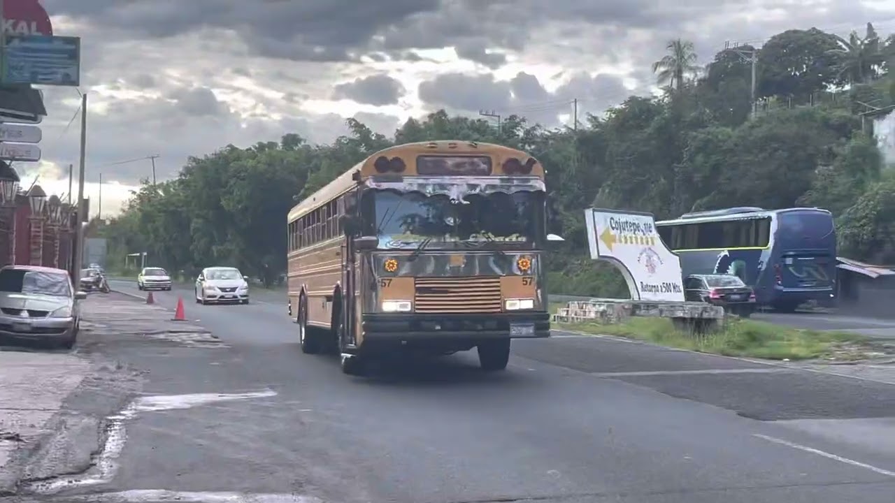 1997 Amtran Genesis FE Driveby - Bus 57