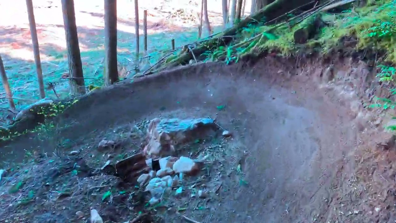 The Infamous Man Boobs Trail at Squamish Alice Lake.