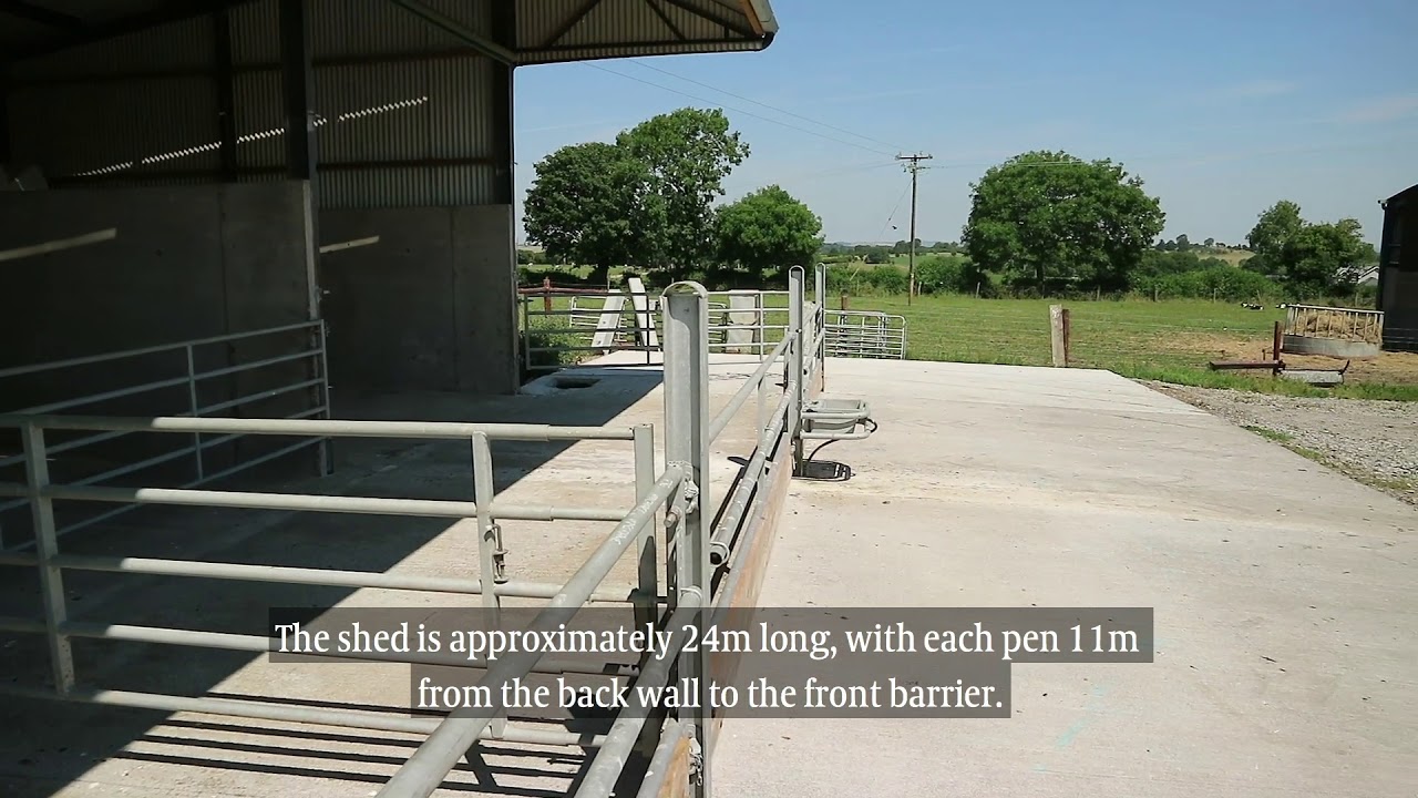 Farm Buildings: New calf shed for 80 calves