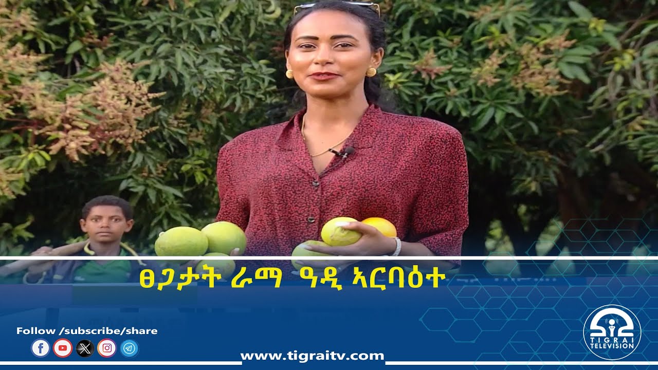ፀጋታት ራማ  ዓዲ ኣርባዕተ #Tigrai_Television | #ቴሌቪዥን_ትግራይ