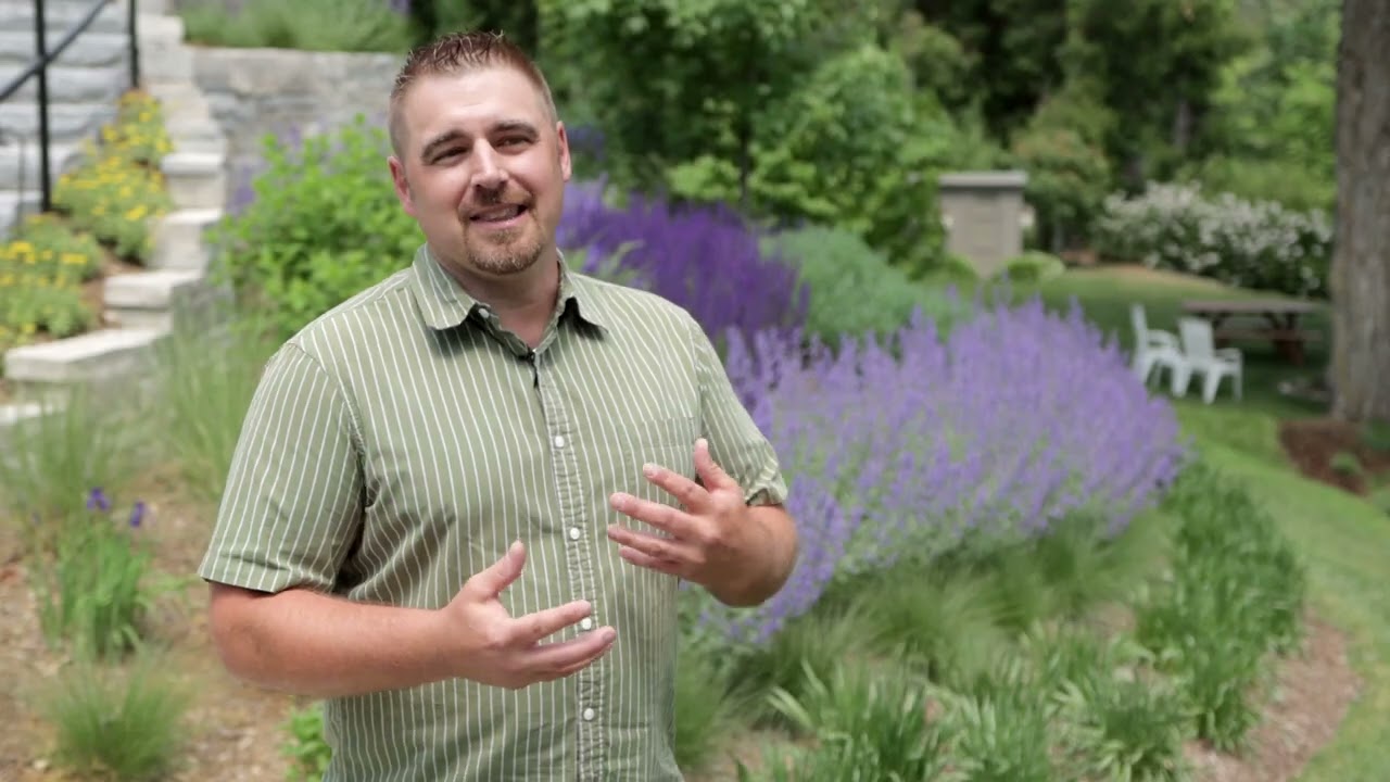 Account Manager Ryan Risse at Landmark Landscapes