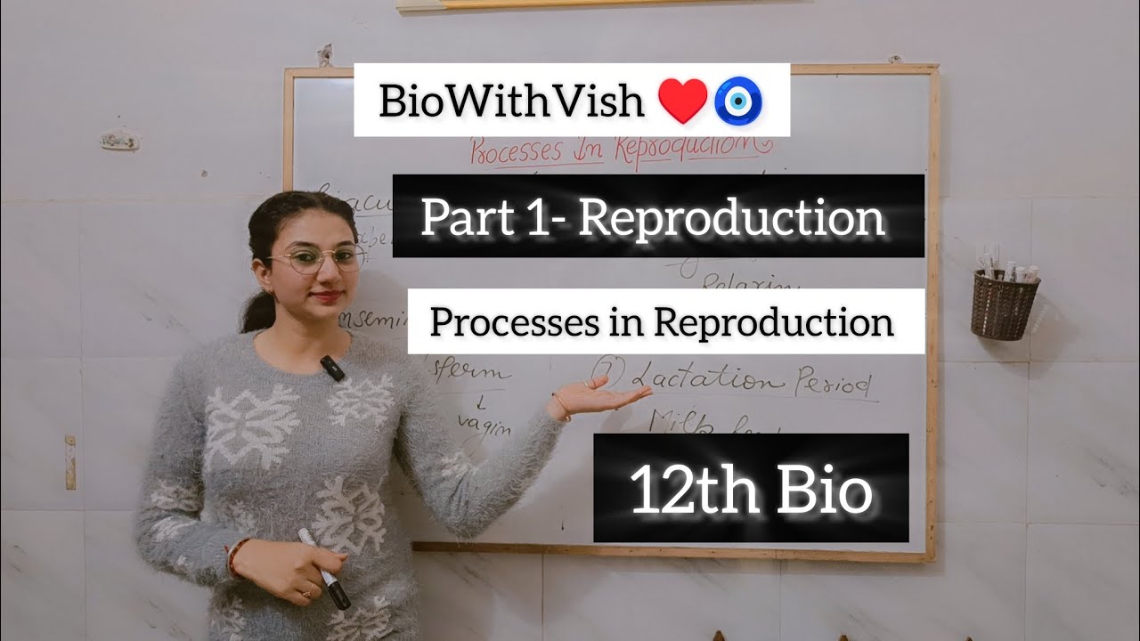 12th Bio - Part 1- Processes in Reproduction #biowithvish #reproduction #12th #bio #part1 #processes