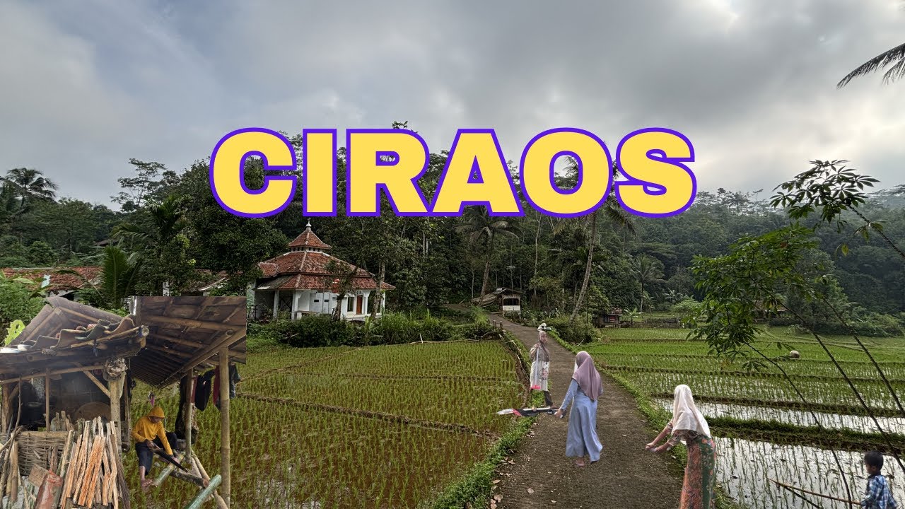 BIKIN SEJUK HATI  SUASANA KAMPUNG SUNDA ASLI DIKELILINGI SAWAH.
