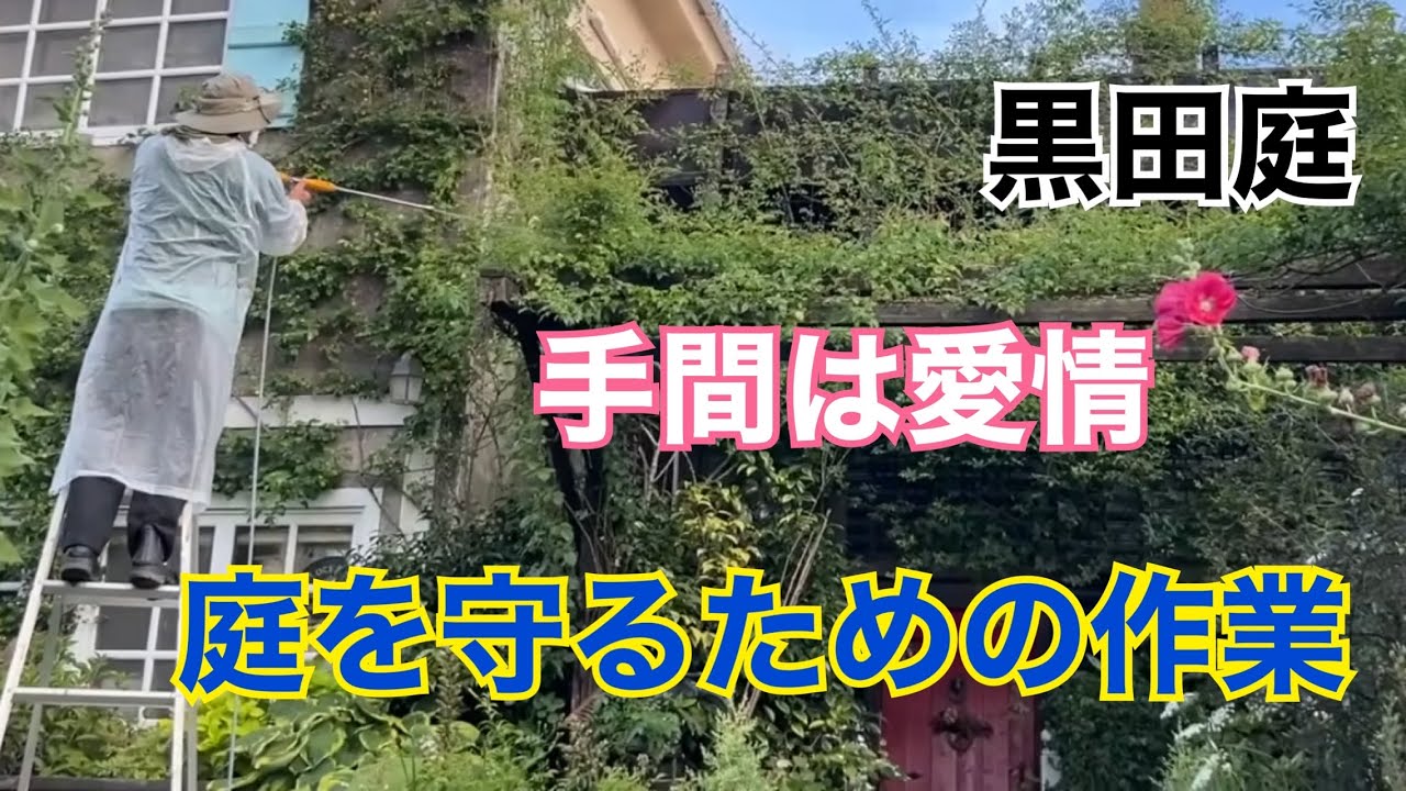 【消毒】庭を守るために！ 黒田庭2025 Kuroda's Residence