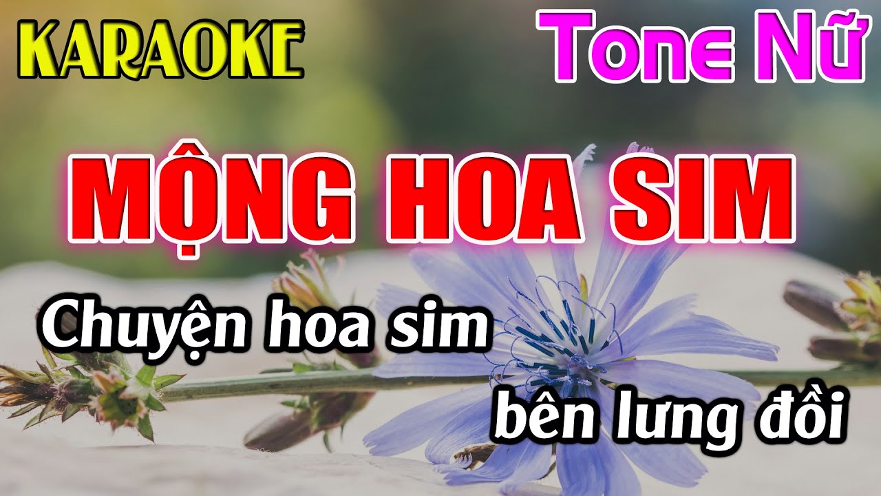 Mộng Hoa Sim Karaoke Tone Nữ ( Am ) Karaoke Dễ Hát - Beat Mới