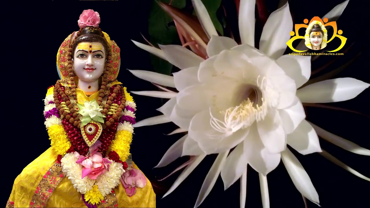 SriPada Rajam Sharanam Prapadhye..! (Mantram)