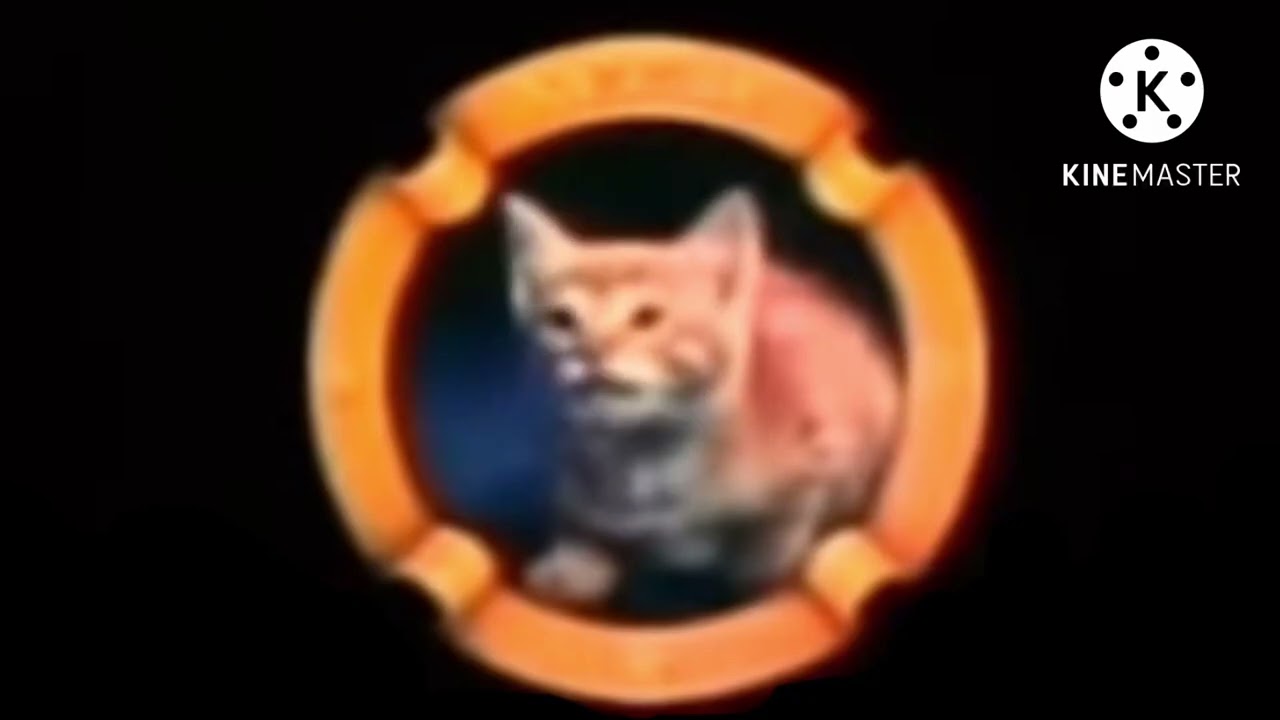 Mtm cat