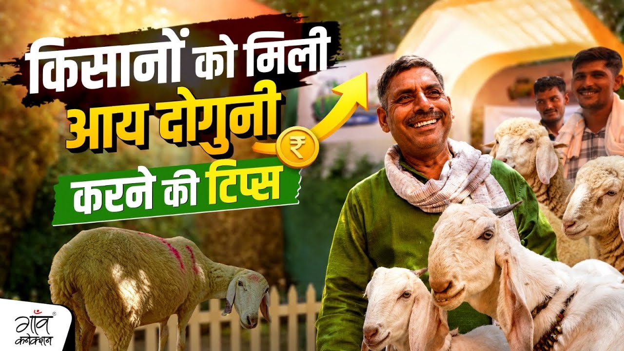 UP Small Livestock Conclave: How can farmers increase their income by raising small animals? Find...