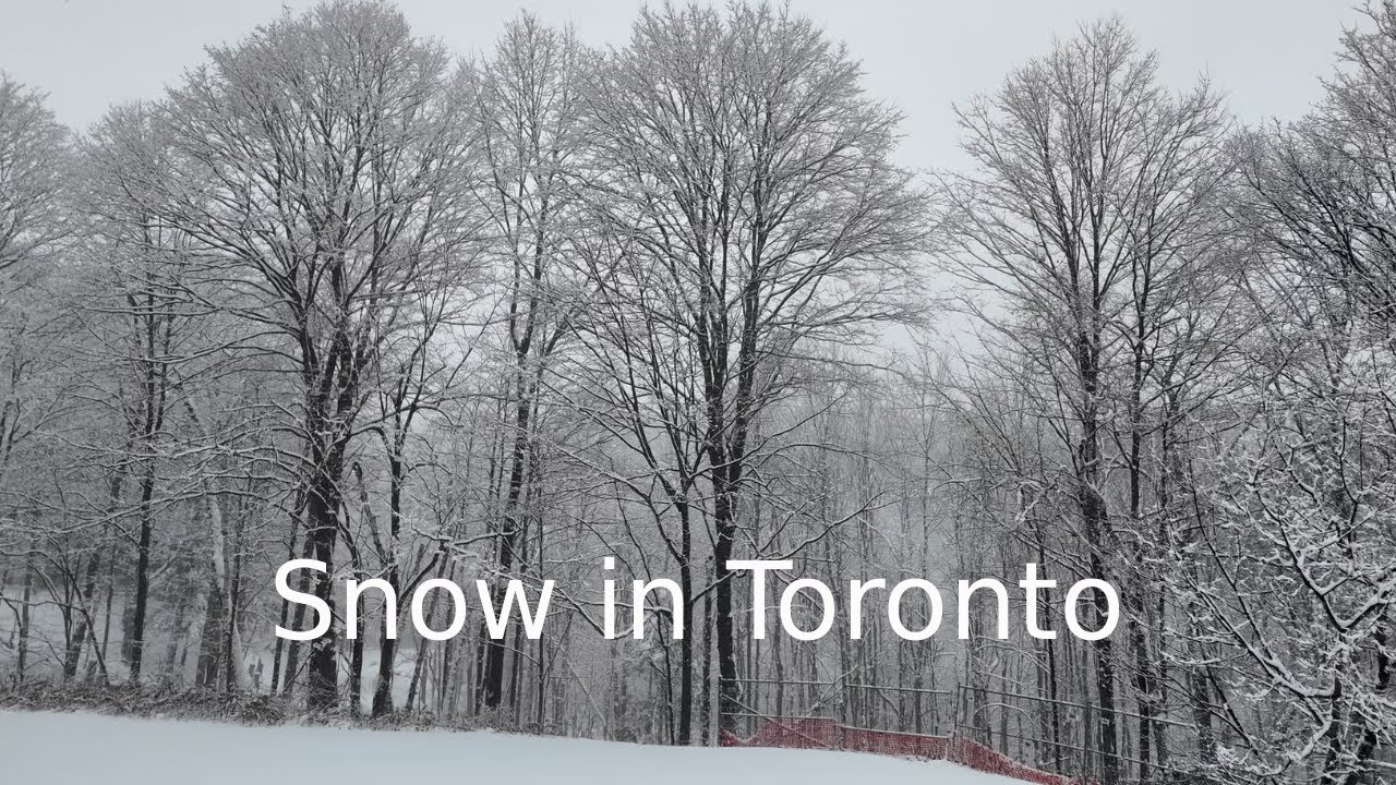 Snow in Toronto