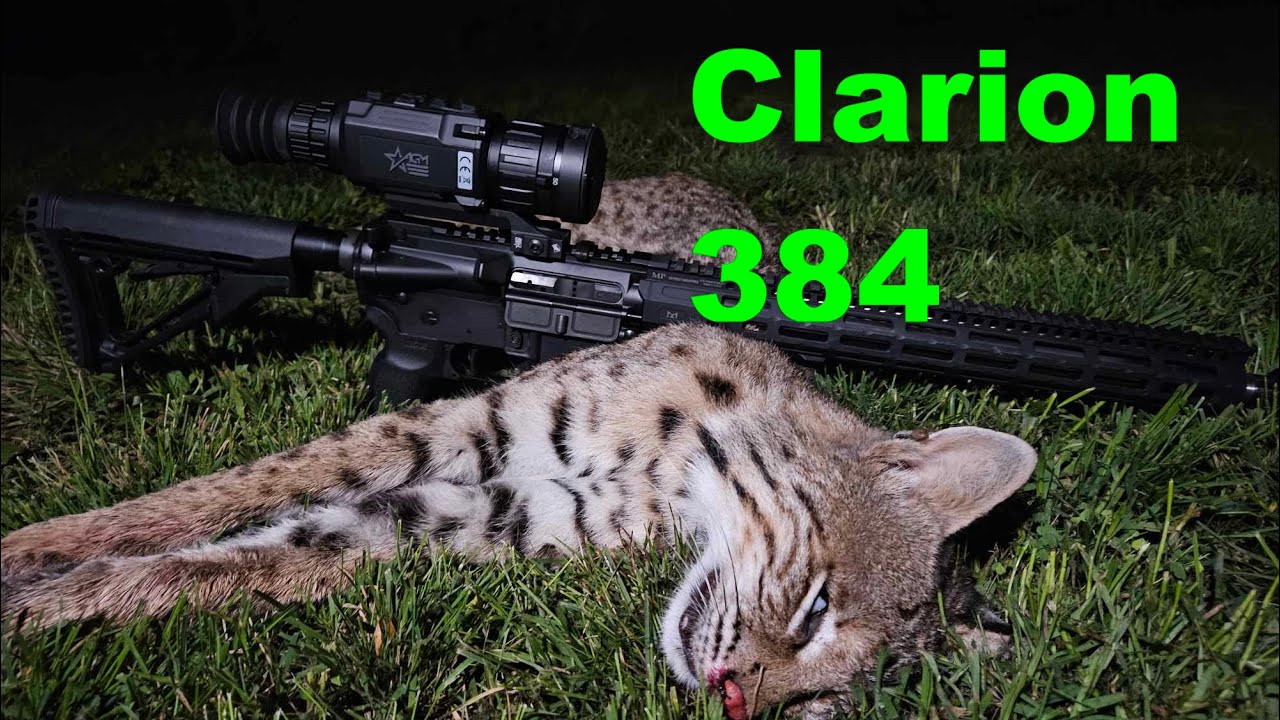 Обзор AGM Clarion 384