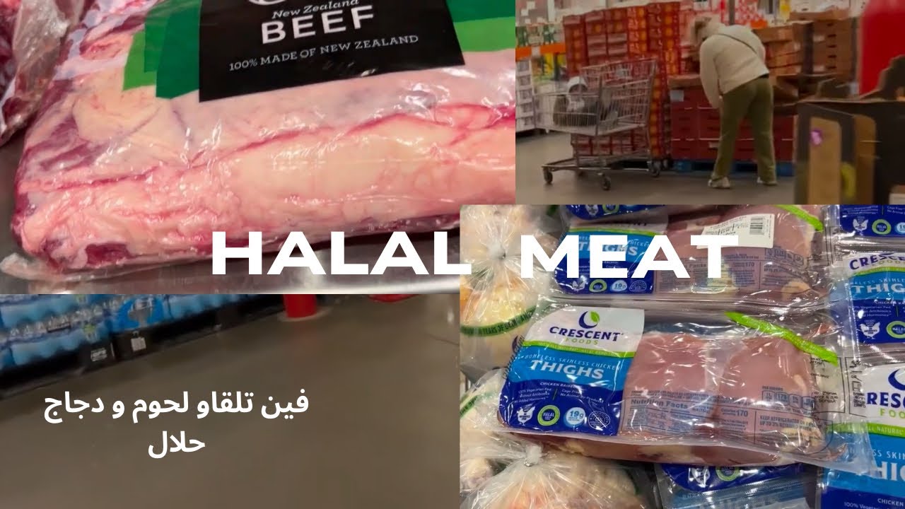 اللحوم حلال بثمن مناسب في امريكا 🇺🇸where to find Halal meat Day in the life #halal #lifeinamerica