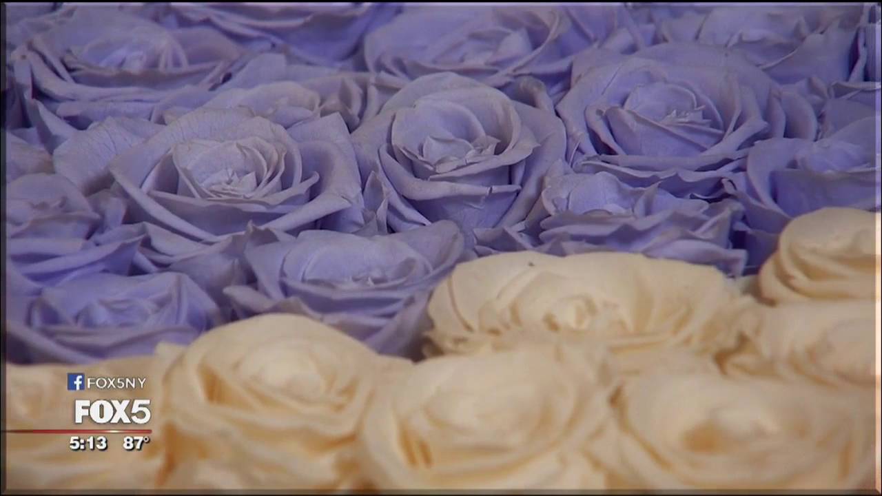 Roses That Last 1 Year