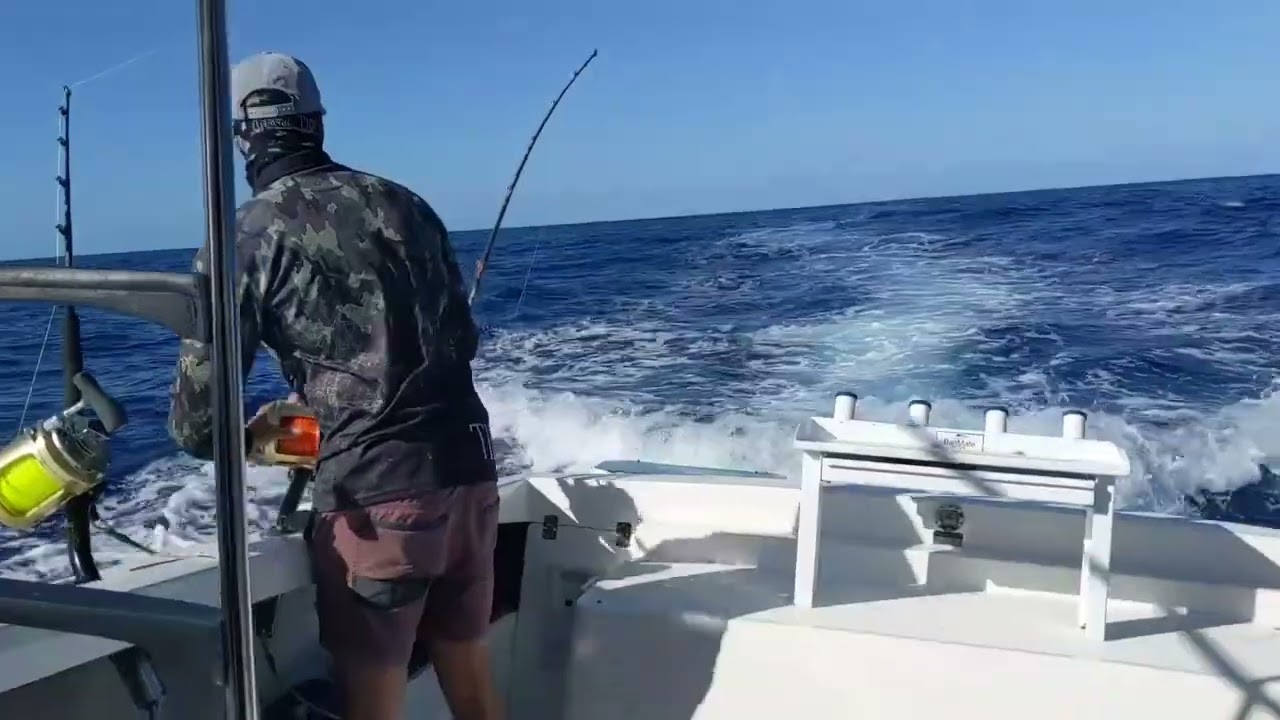 Fishing For Blue Marlin in Gold Coast - Australia 🇦🇺