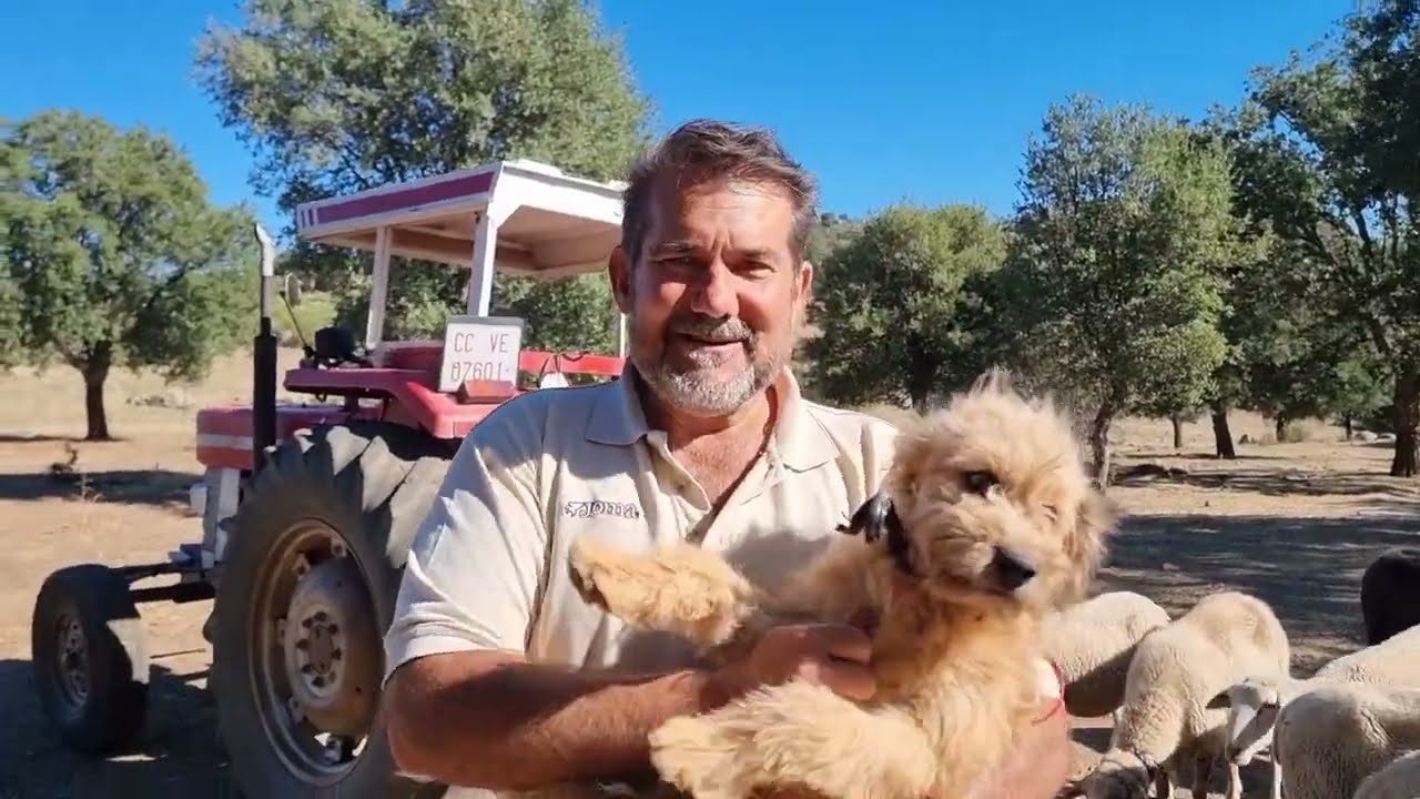 Hoy ha venido Raquel y pelorcho😍