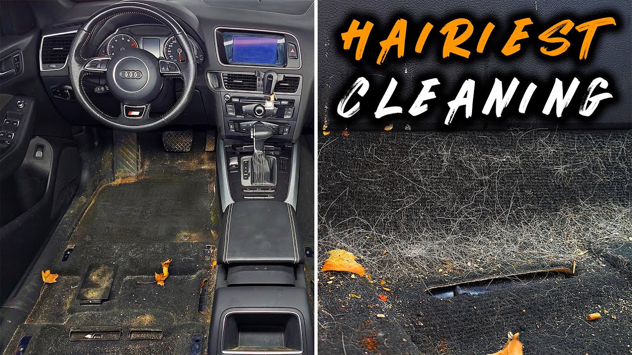Deep Cleaning the HAIRIEST Car Ever! Interior Detailing ASMR