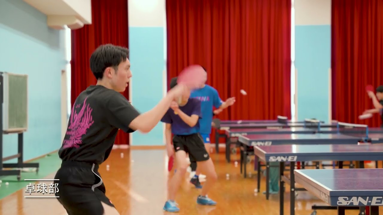 2025seiwaHP opninng
