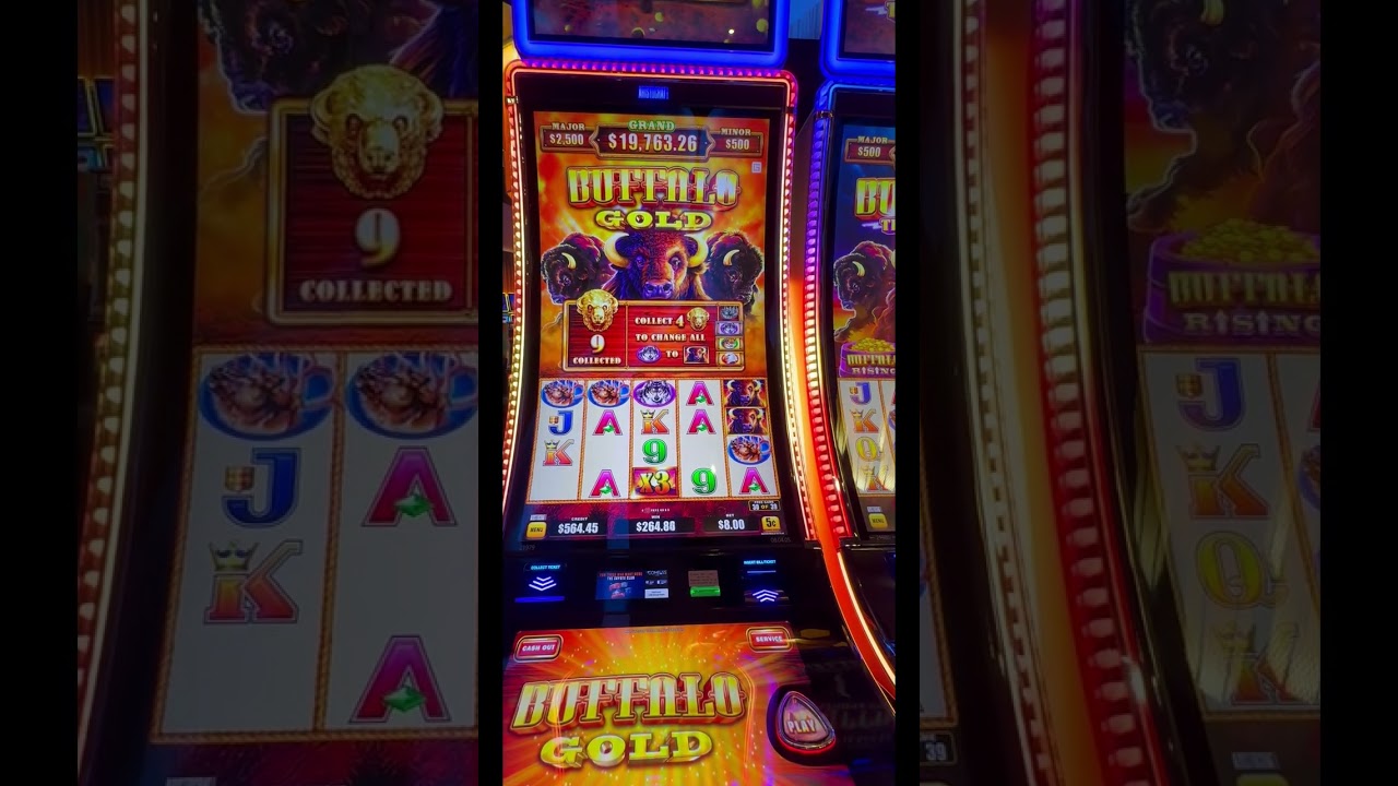 We finally got 15 GOLD Buffalo heads!!!  #Viral #Jackpot #JackpotDance #Slots