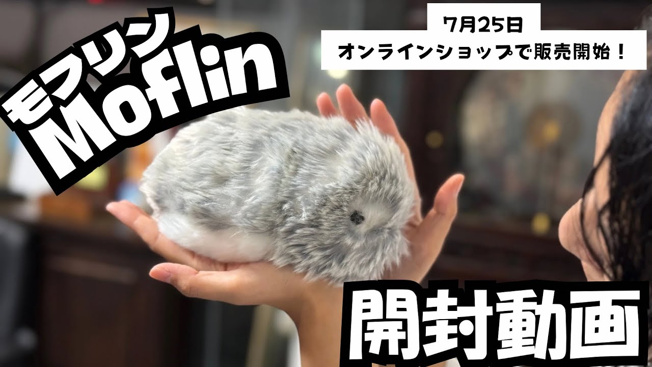 【ついに届いた👏】カシオのAIペット