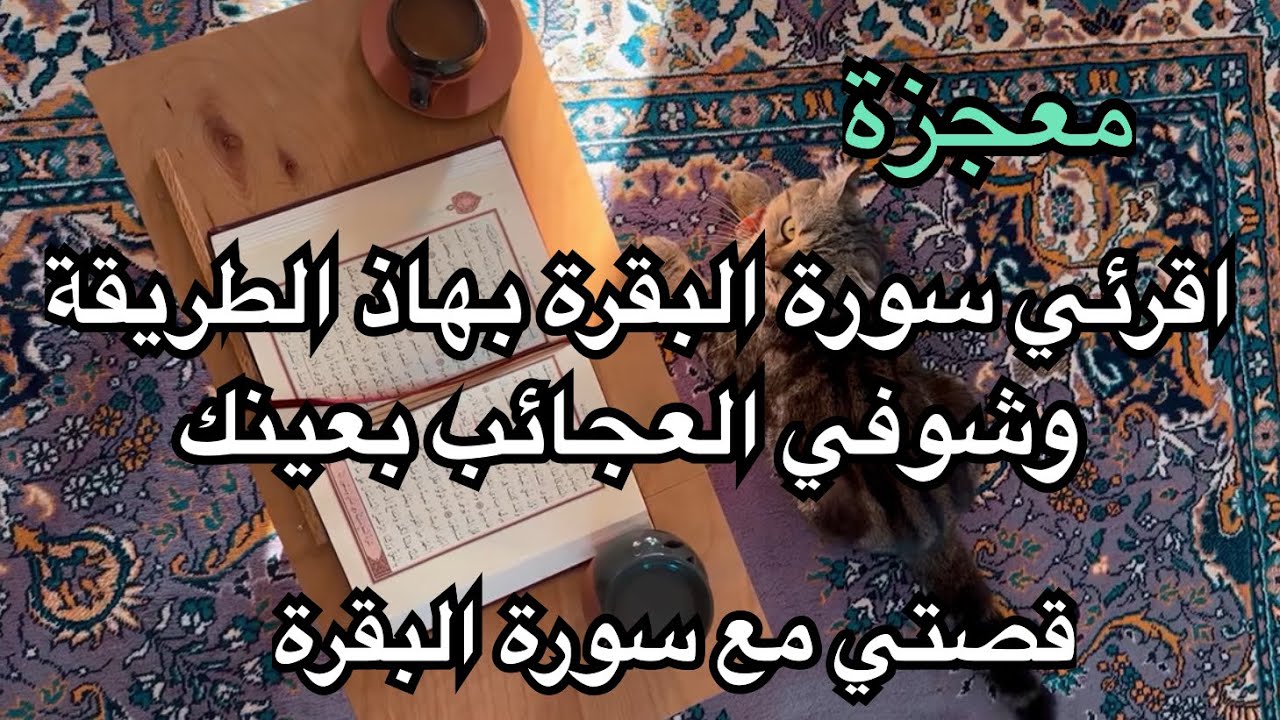 السر الخفي في قراءة سورة البقرة: كيف تشاهد المعجزات تتجلى في حياتك✅🧠🫀