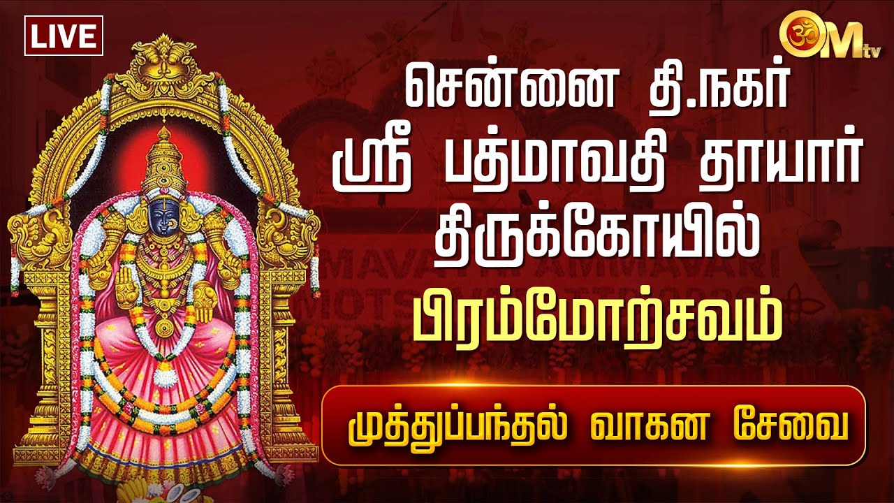 🔴LIVE: சென்னை தி.நகர் ஸ்ரீ பத்மாவதி தாயார் திருக்கோயில் பிரம்மோற்சவம் முத்துப்பந்தல் வாகனம் | OM TV