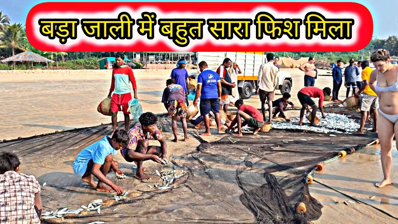 बड़ा जाली में बहुत सारा फिश मिला||bada jali Mai bahut sara fish mila#fishingboat #fishinglife#boat