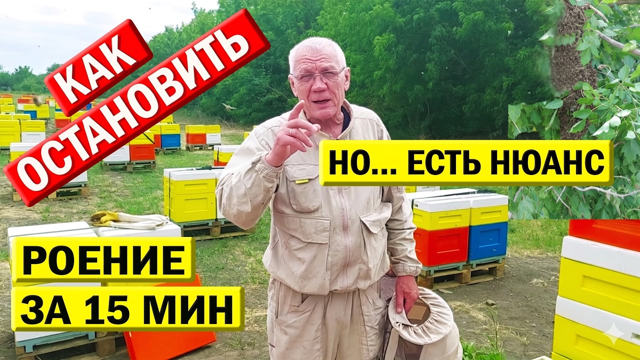 Секретная техника пчеловодов Финляндии против роения. Как остановить роение пчел за 15 минут?
