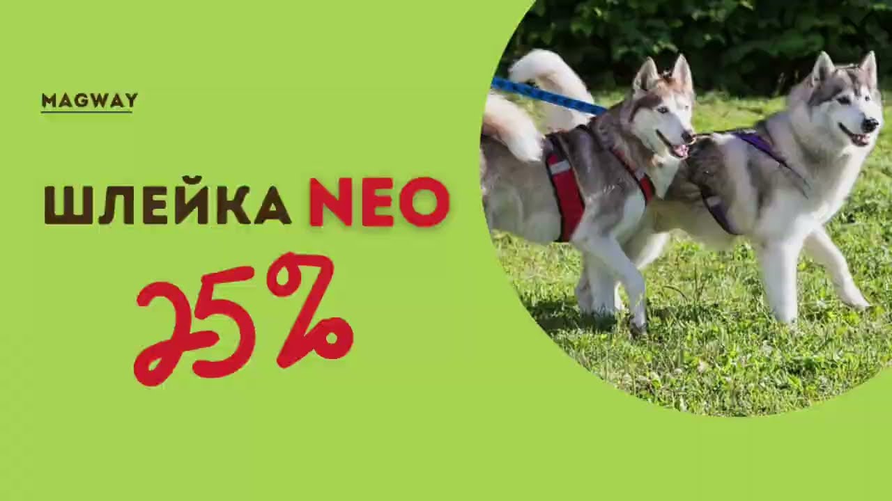 Универсальная шлейка NEO от MagWay