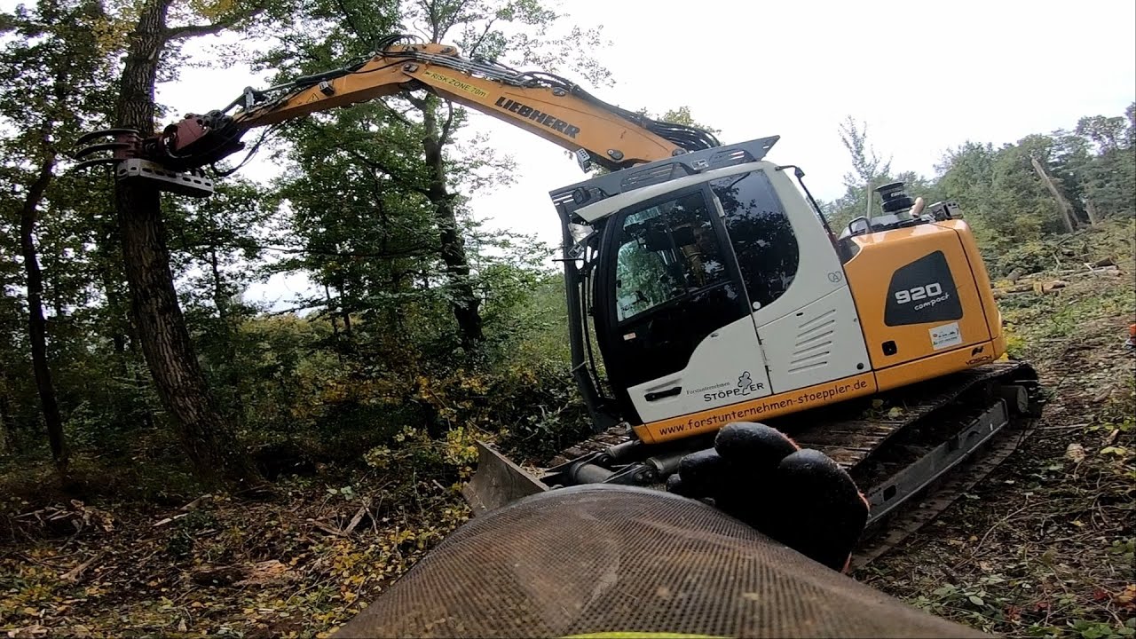 Große Pappeln fällen | Liebherr 920 | Husqvarna 572 | Teil 01