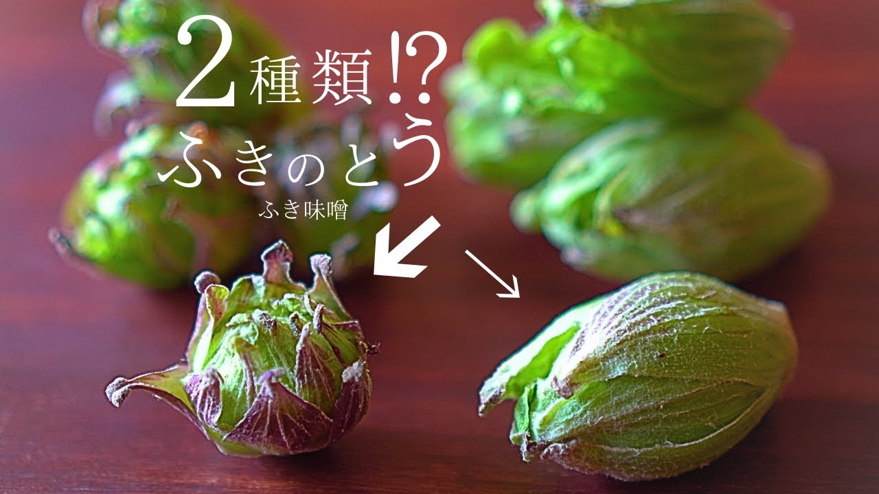 【保存版】２種類〜簡単ふき味噌の作り方と「他にない」丁寧なふきのとう味噌のレシピ
