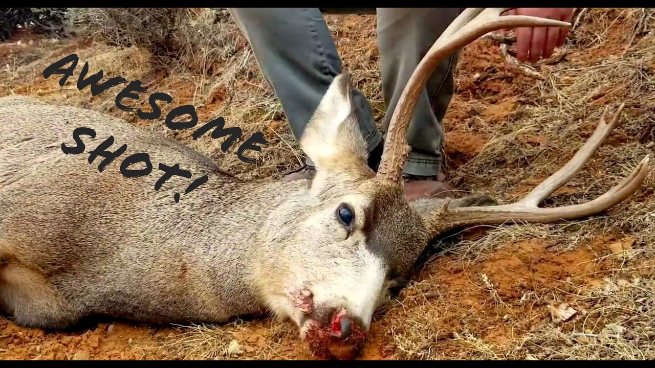 WYOMING MULE DEER HUNT 2018!!! Kelson's first buck!